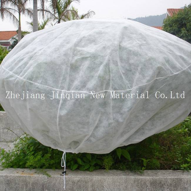 Disposable PP Spunbond Nonwoven Fabric for Plant Cover&Fruit Protection